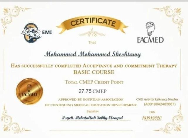 ACT Acceptance and Commitment Therapy